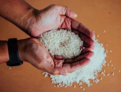 Pemkot Rutin Cek Kualitas Beras Bansos Bapanas