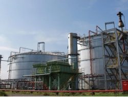 Holding Perkebunan Nusantara Dorong Energi Hijau, PT Enero Siap Pasok Ethanol untuk Program BBN Nasional