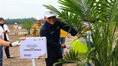 Holding Perkebunan Nusantara Perkuat Ketahanan Pangan Nasional, PTPN IV PalmCo Dorong Peremajaan Sawit dan Integrasi Tanaman Pangan