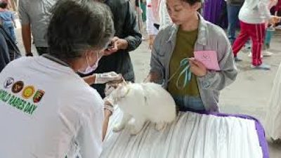 Balai Krantina Provinsi Lampung memberikan vaksinasi gratis