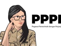 Nasib PPPK di Ujung Tanduk! BKN: Jika Anggaran Seret, Kontrak Tak Akan Diperpanjang-BKD Lampung Pilih Bungkam