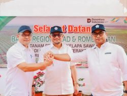 Holding Perkebunan Nusantara Dukung Keberlanjutan, PTPN IV Regional III Remajakan 949,6 Hektare Sawit Renta