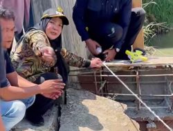 Wali Kota Cek Langsung Pembangunan Jembatan di Rajabasa