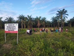 PTPN I Regional 7 Kecam Tindakan Pemblokiran Jalan, Penghentian Aktivitas Panen dan Pendudukan Lahan