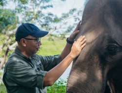 Gubernur Mirza Kunjungi TNWK, Tegaskan Solusi Permanen Konflik Gajah-Manusia