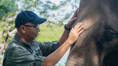 Gubernur Mirza Kunjungi TNWK, Tegaskan Solusi Permanen Konflik Gajah-Manusia