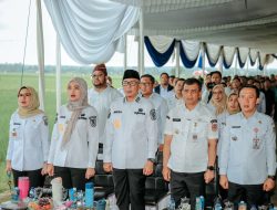 Swasembada Pangan, Produksi Padi Lampung Naik 15%