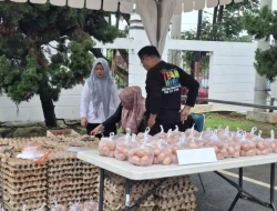 Pemprov Lampung: Harga Telur Masih Sesuai Harga Eceran