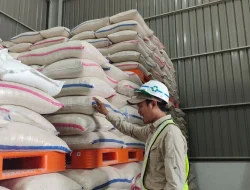 Stok Beras Lampung Mampu Cukupi Konsumsi Ramadhan