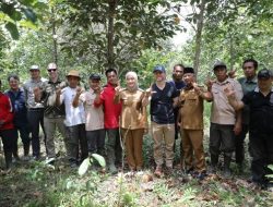 Lampung Buka Peluang Investasi Karbon dengan Amazon di Way Kambas
