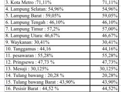 Ketimpangan Jalan Kabupaten Kota di Lampung Memprihatinkan