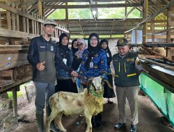 Lampung Kerahkan 1.229 Petugas Awasi Hewan Kurban Iduladha 2026