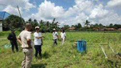 Koperasi IJP Gandeng Petani Magot