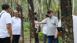 Sinergi Strategis, Tim PTPN III Tinjau Operasional 4 Kebun PTPN I Regional 7