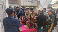Gubernur Mirza Bantu Petani Lewat PHC