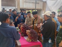 Gubernur Mirza Bantu Petani Lewat PHC