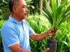Dari Uji Coba Berbuah Sukses, PHC Ubah Produktivitas Sawit Petani Lampung Timur