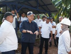 PTPN IV PalmCo Perkuat Kinerja Regional VII