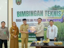 Gubernur Mirza Genjot Pertanian Organik Lampung Lewat PHC