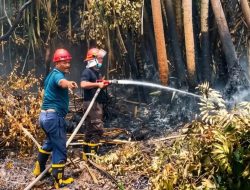 Antisipasi Karhutla, PTPN IV PalmCo Perkuat Deteksi Dini dan Patroli di Sumatera-Kalimantan