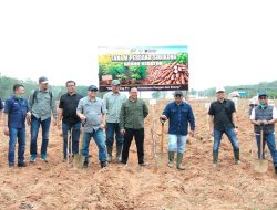 Dukung Program Prabowo, PTPN I Regional 7 Tanam Perdana Demplot Singkong Mukibat