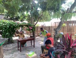 Bukan Sekadar Panti, UPTD Harapan Bangsa Sulap Pertanian Jadi Inkubator Bisnis Anak Asuh
