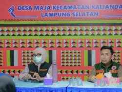 Wagub Jihan Aktifkan Destana Hadapi Paparan Abu Anak Krakatau