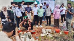 HMI Pertanian Unila Bangun Sekretariat Permanen, Jadi Rumah Kaderisasi dan Gagasan