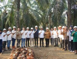 Arya Sandhiyudha di Bekri: Kebun Negara Harus Hadir Memberi Manfaat bagi Petani dan Rakyat
