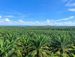 PTPN IV Regional VII Hormati Aspirasi Masyarakat, Ajak Jaga Kebun Bekri untuk Kepentingan Bersama