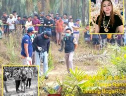 Wanita Muda di Mesuji di Temukan Tewas di Area Perkebunan Sawit Desa Gedung Boga